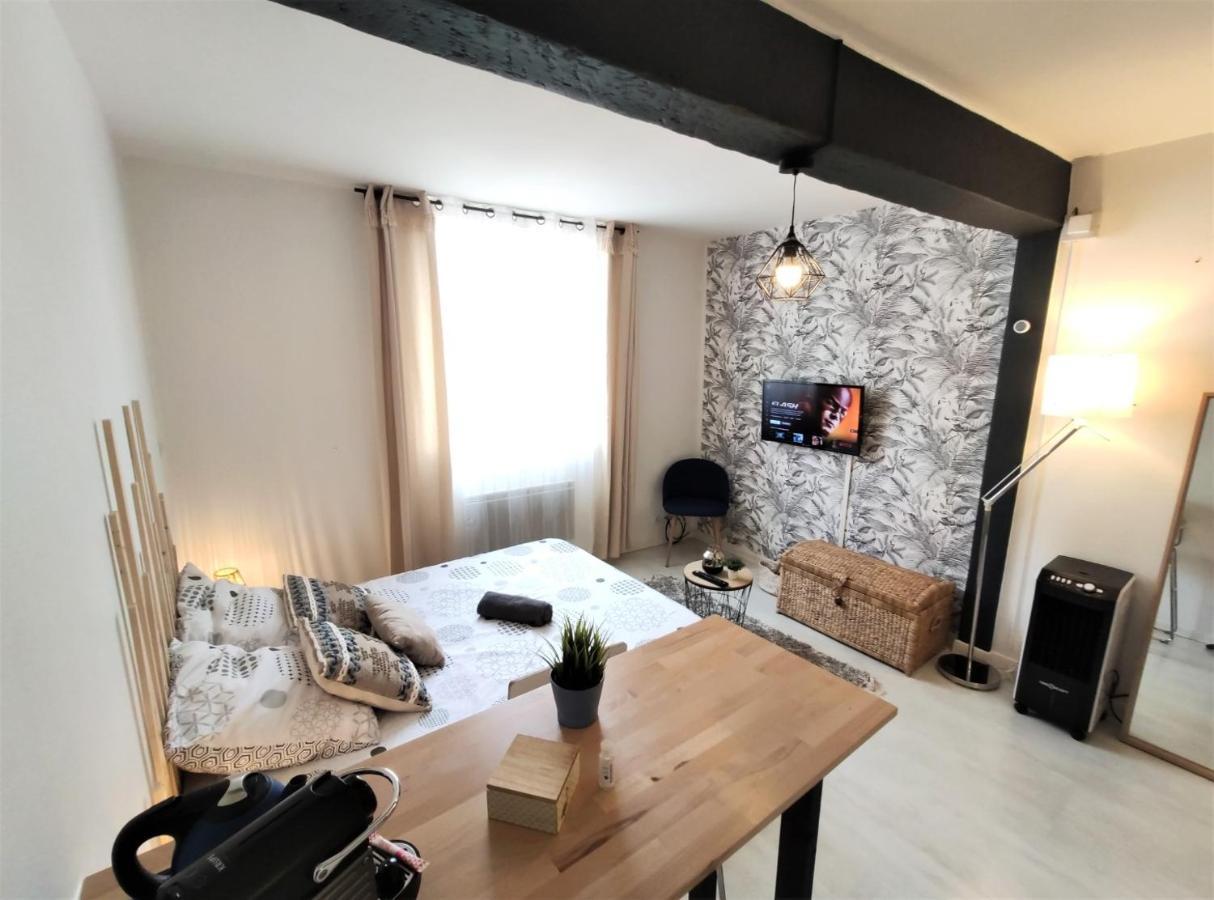Apartmán Le Jasmin Des Carmes - Hypercentre - Netflix Toulouse Exteriér fotografie