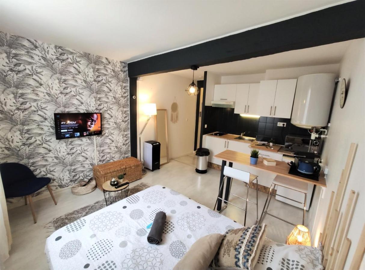 Apartmán Le Jasmin Des Carmes - Hypercentre - Netflix Toulouse Exteriér fotografie